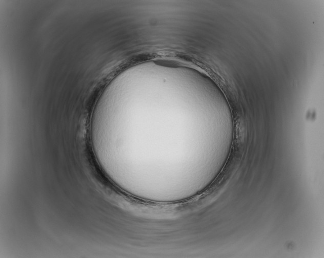 X0000096970032200802291132