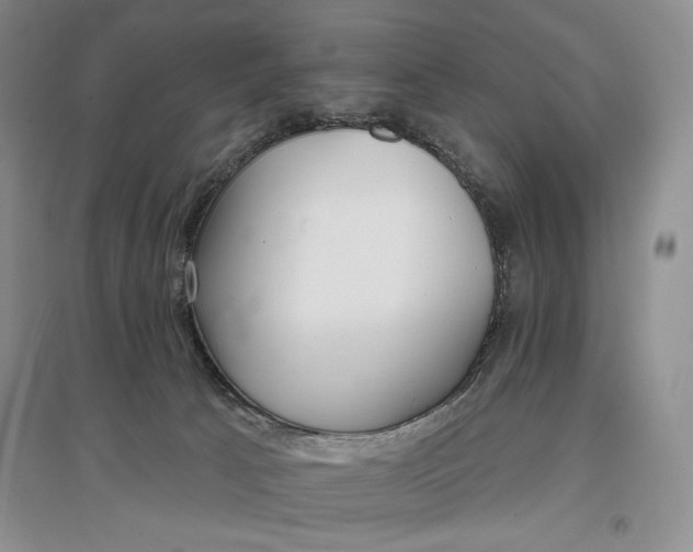 X0000096970033200802291132