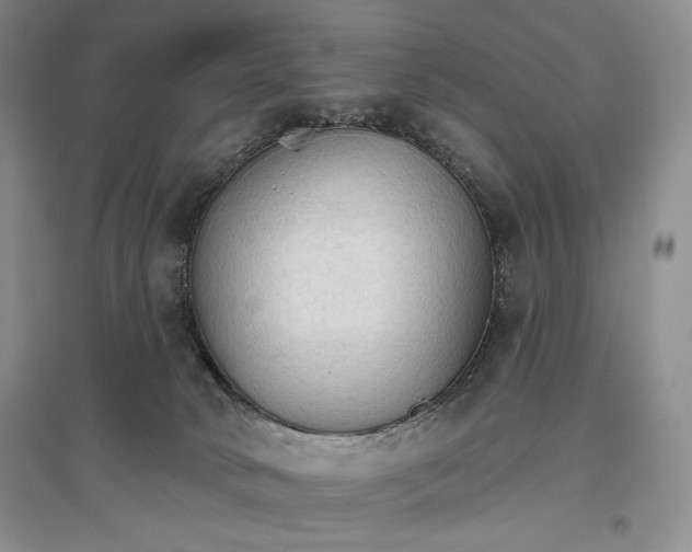 X0000096970034200802291132