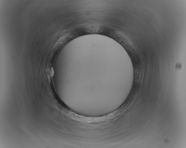 X0000096970035200802291132