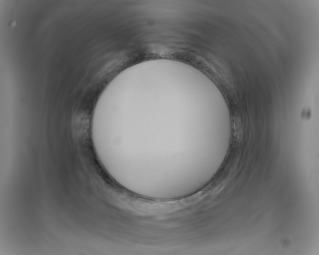 X0000096970036200802291132