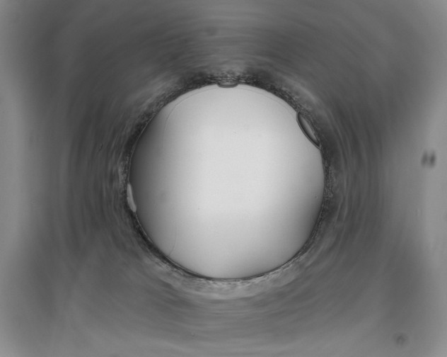 X0000096970037200802291132