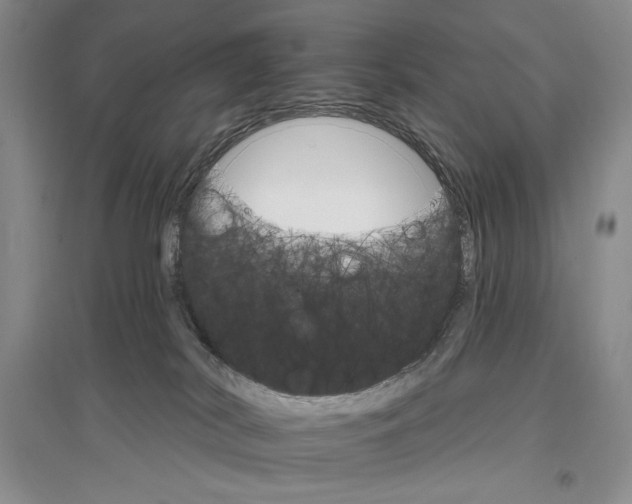 X0000096970038200802291132