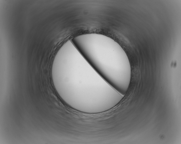 X0000096970039200802291132