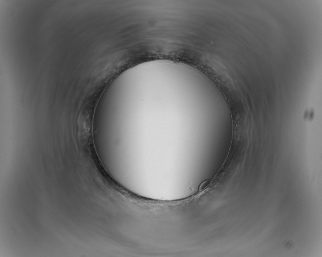 X0000096970040200802291132