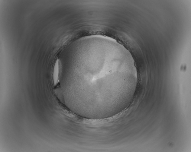 X0000096970041200802291132