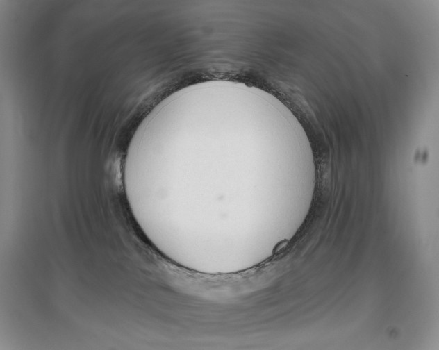 X0000096970042200802291132