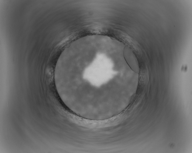 X0000096970043200802291132