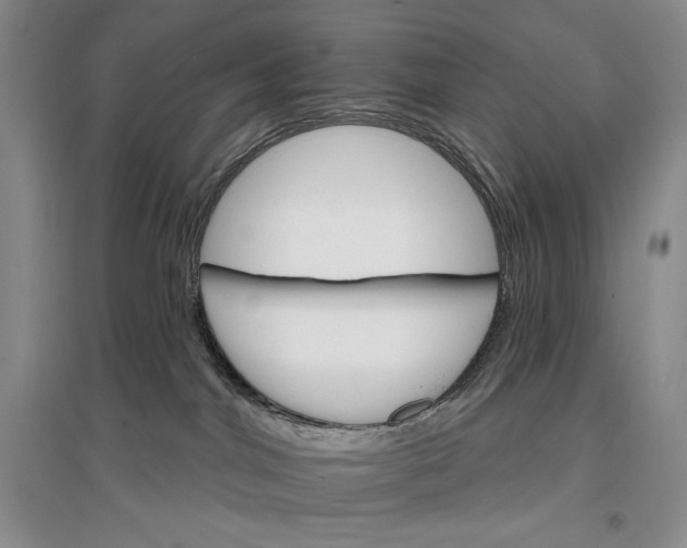 X0000096970044200802291132