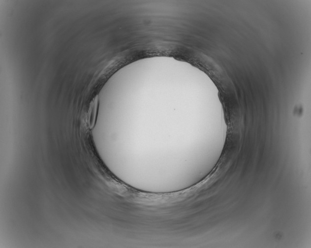 X0000096970045200802291132