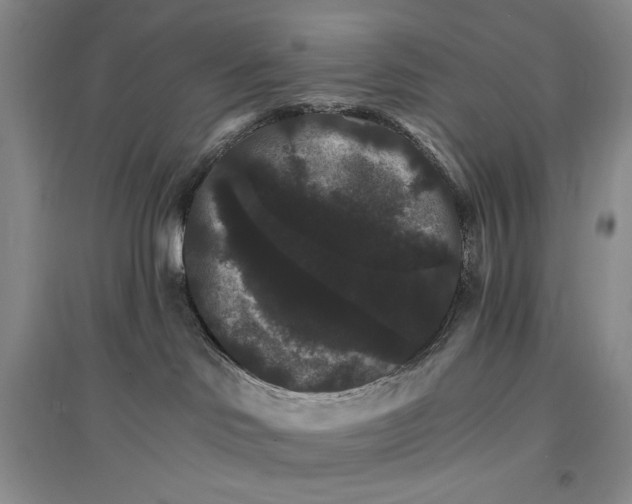 X0000096970046200802291132