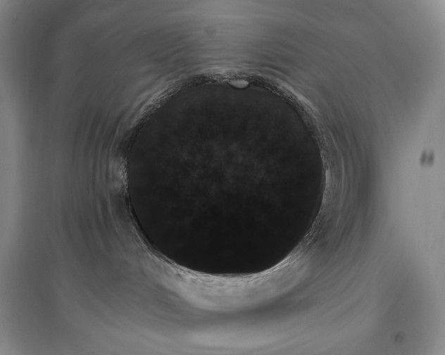 X0000096970048200802291132