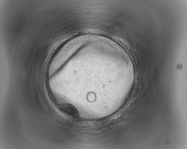 X0000096970049200802291131