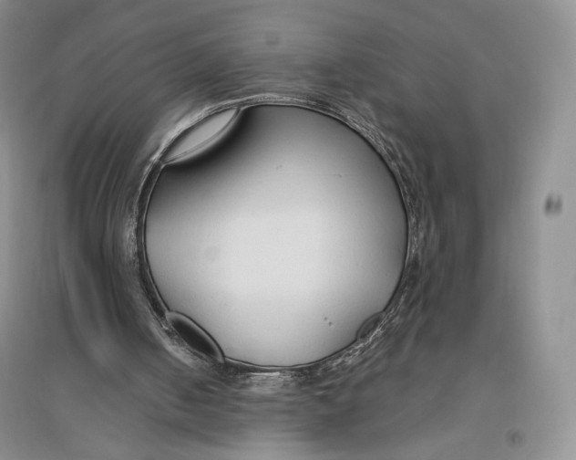 X0000096970050200802291131