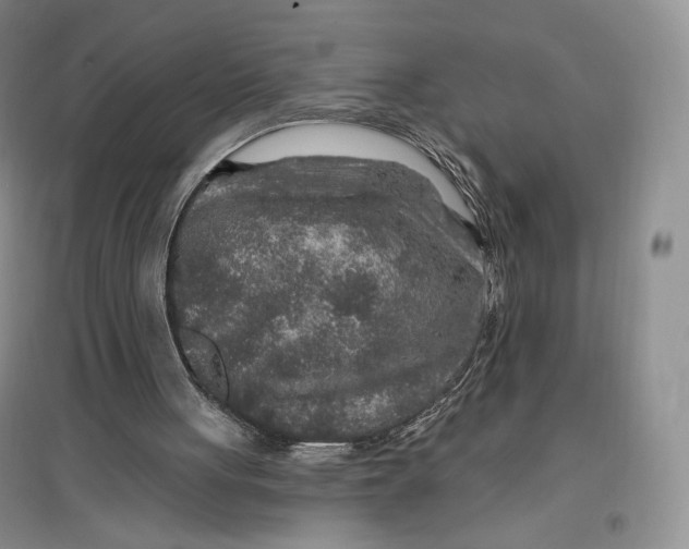 X0000096970051200802291131