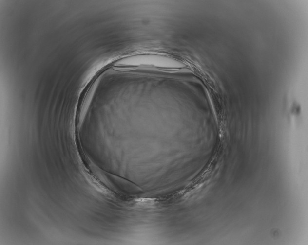 X0000096970052200802291131