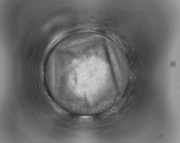 X0000096970053200802291131