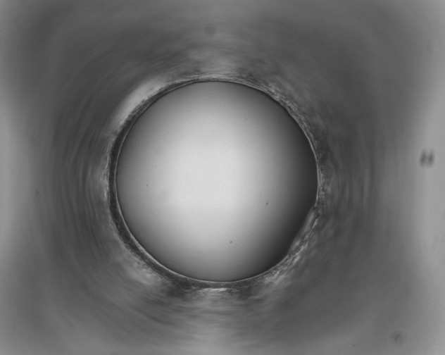 X0000096970054200802291131