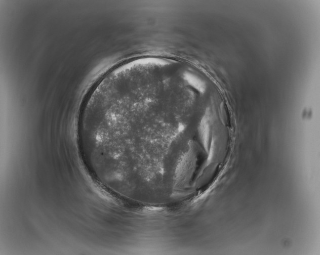 X0000096970055200802291131