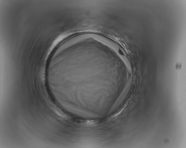 X0000096970056200802291131