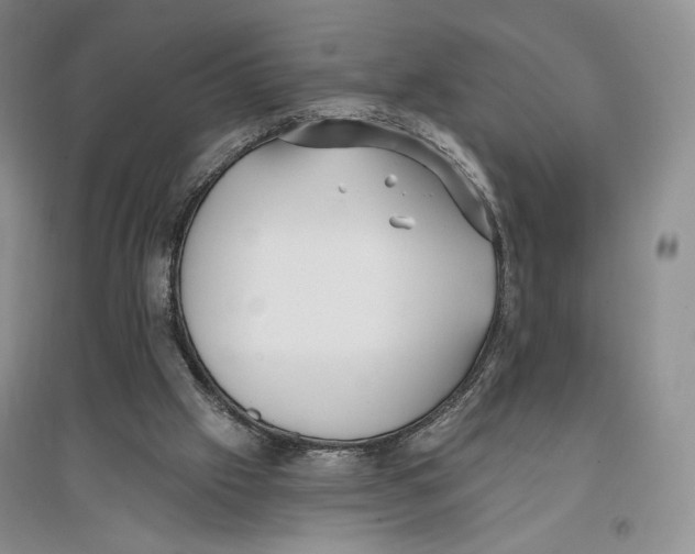 X0000096970057200802291131