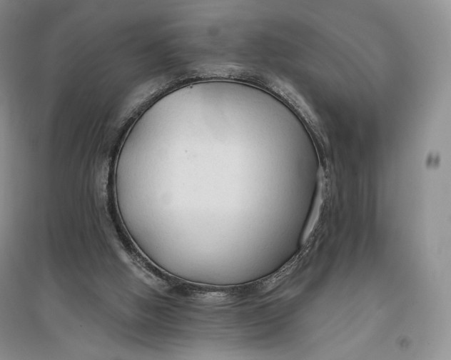 X0000096970058200802291131