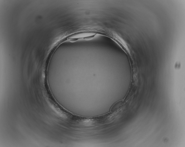 X0000096970059200802291131