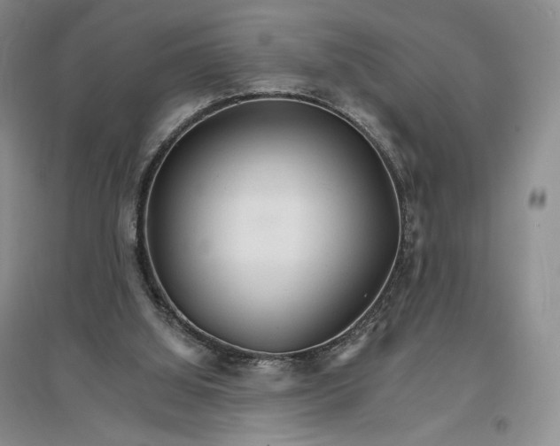 X0000096970060200802291131