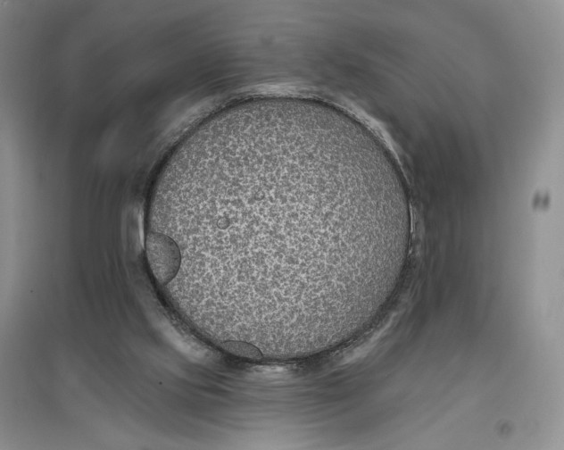 X0000096970061200802291131