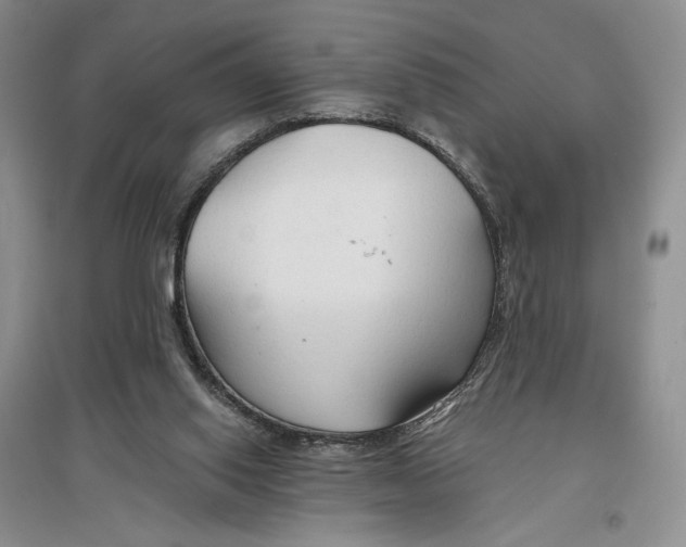 X0000096970062200802291131