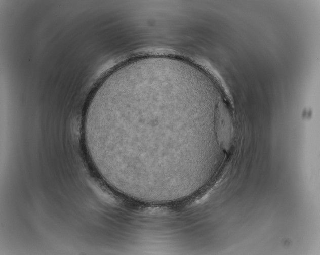 X0000096970063200802291131