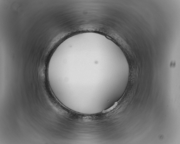 X0000096970064200802291131