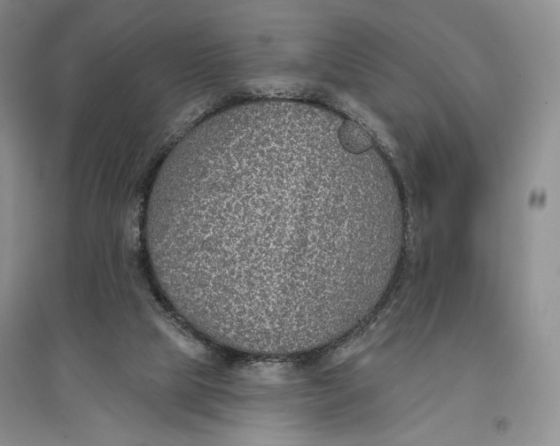 X0000096970065200802291131