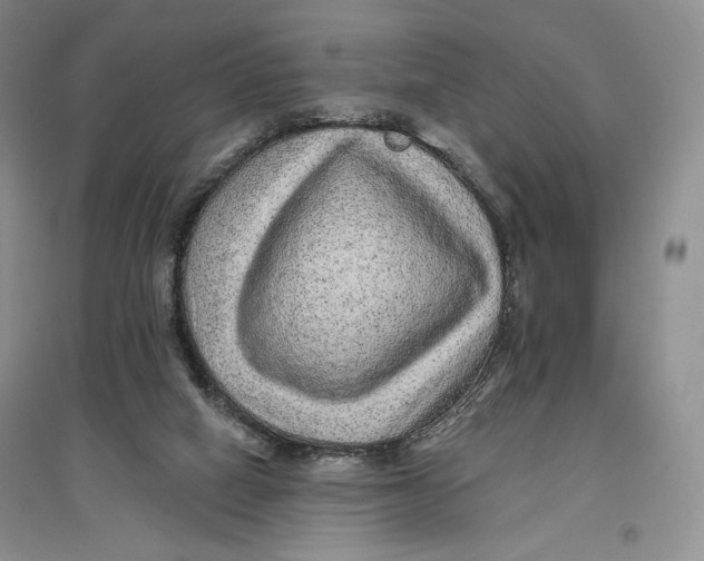 X0000096970066200802291131