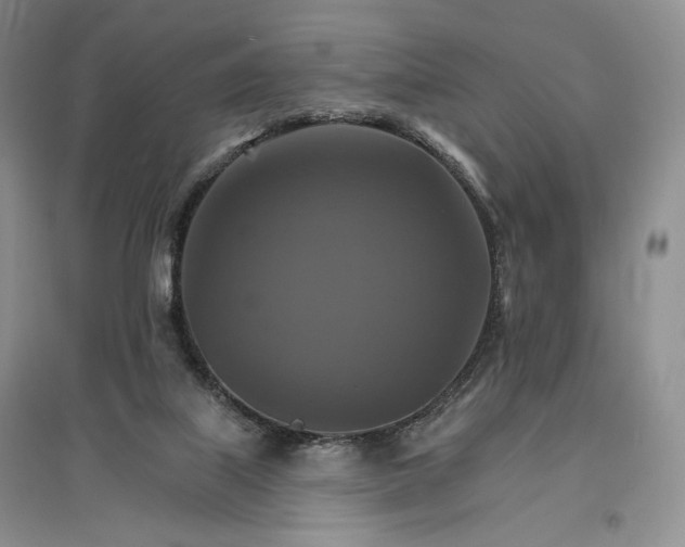 X0000096970067200802291131