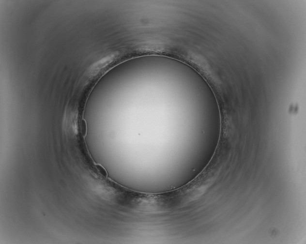 X0000096970068200802291131