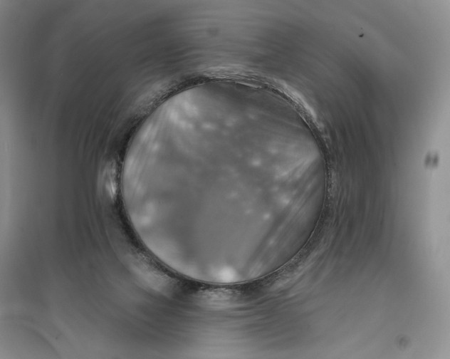 X0000096970069200802291131