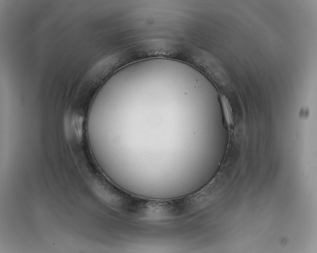 X0000096970070200802291131