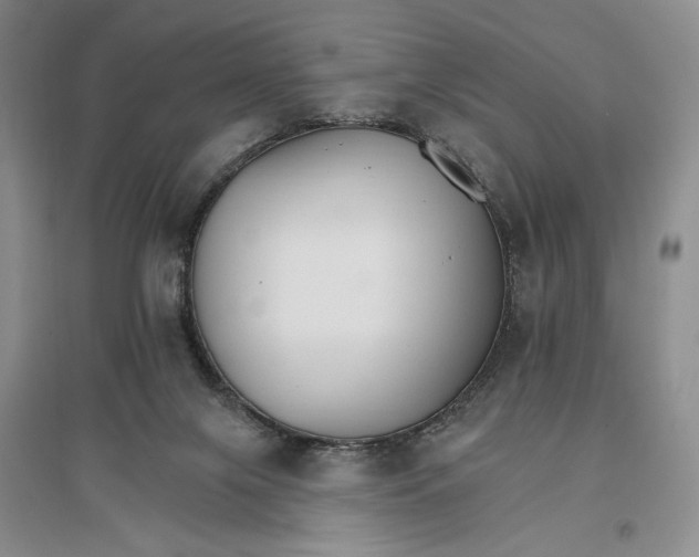 X0000096970071200802291131