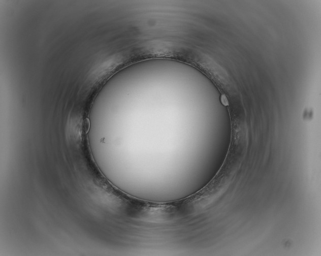 X0000096970072200802291131