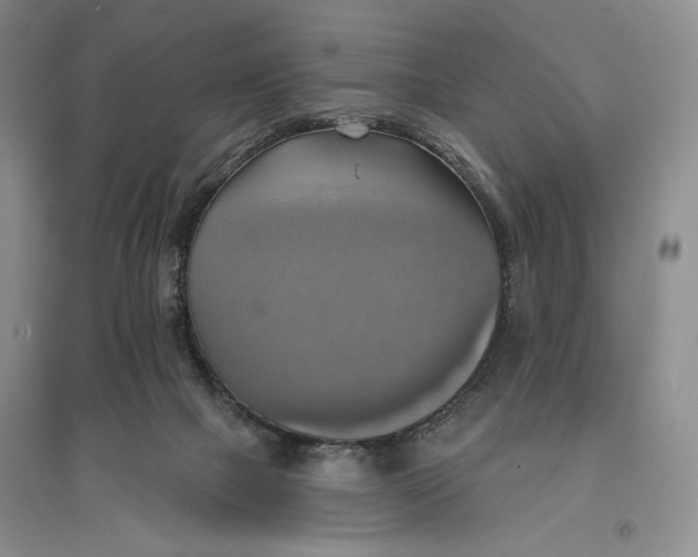 X0000096970073200802291131