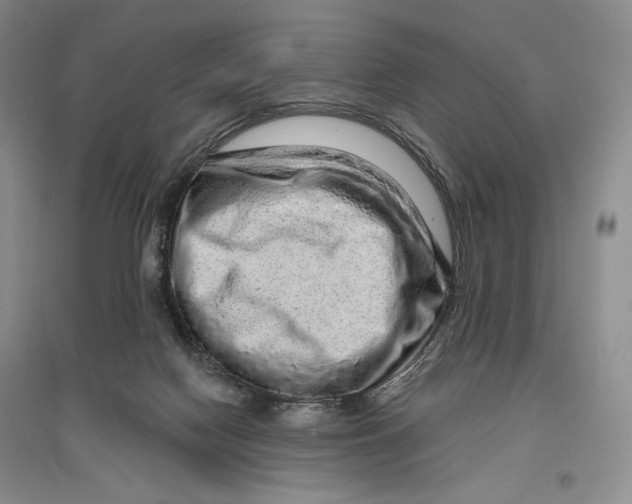 X0000096970074200802291132