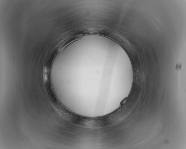 X0000096970075200802291132