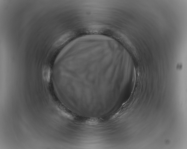 X0000096970076200802291132