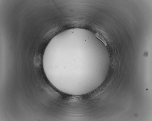 X0000096970077200802291132