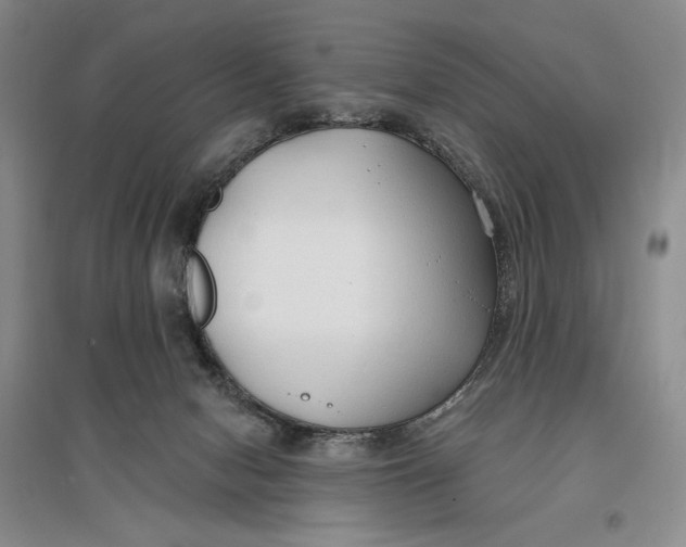 X0000096970078200802291132