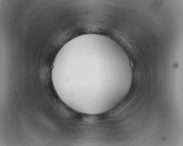 X0000096970079200802291132