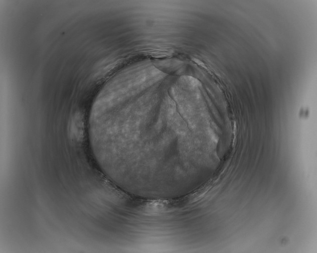 X0000096970080200802291132