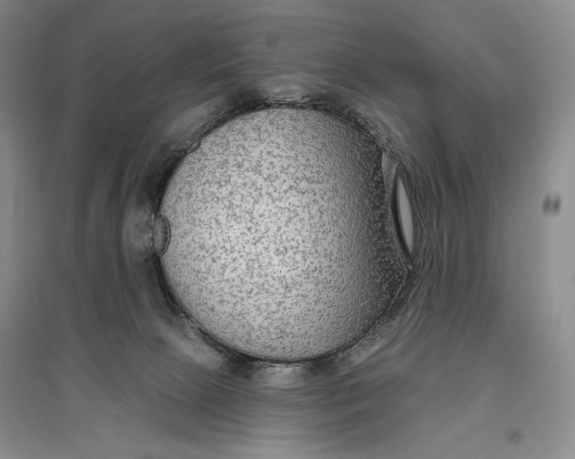 X0000096970081200802291132