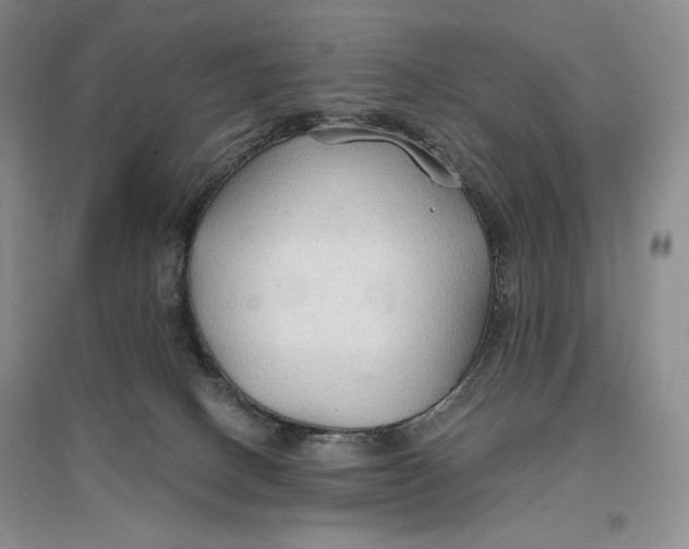 X0000096970082200802291132